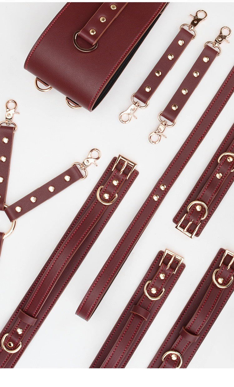 Bondage Leather Set